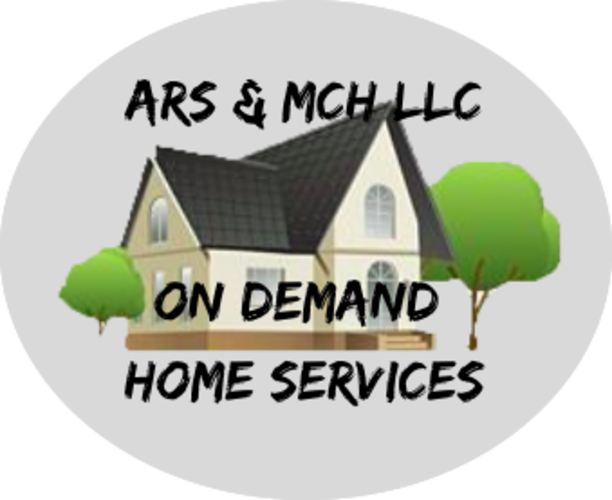 Professional Home Services Logo 1